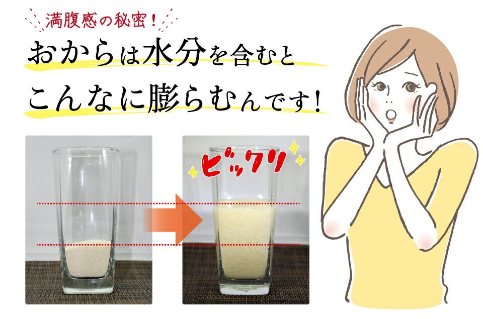 からクッキー【送料無料】うの花おからクッキービスケットタイプお試しサイズダイエットクッキー250gビスケットうの花クッキー【楽天最安値挑戦中】ダイエット食品おからパウダー使用ヘルシークッキーおからダイエットクッキー置き換えダイエット