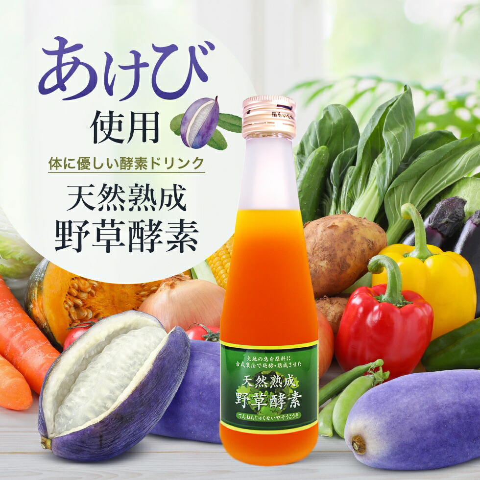 ジェイ・メディックス　天然熟成野草酵素　500mL 2本 天然熟成野草酵素 500ml | ジェイ・メディックス 公式通販サイト