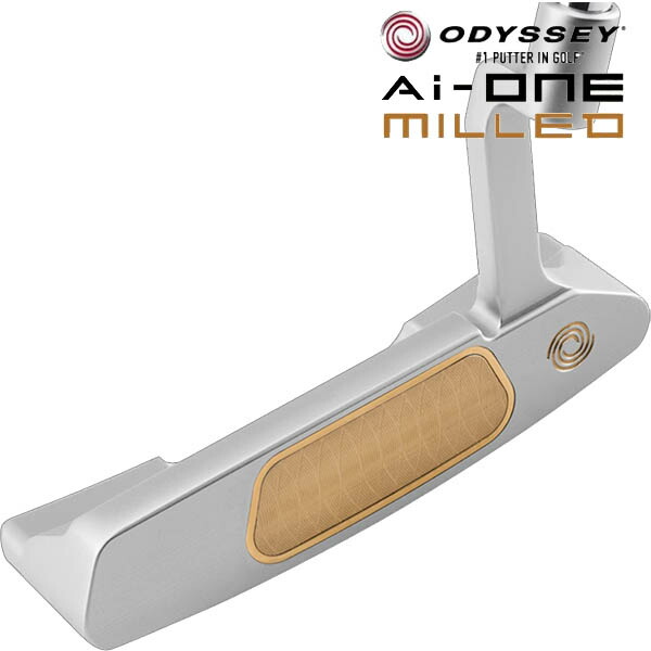 オデッセイ　2ボールパター　レフティ　アームロック ODYSSEY（オデッセイ） - パター -2-BALL TEN ARM LOCKパター