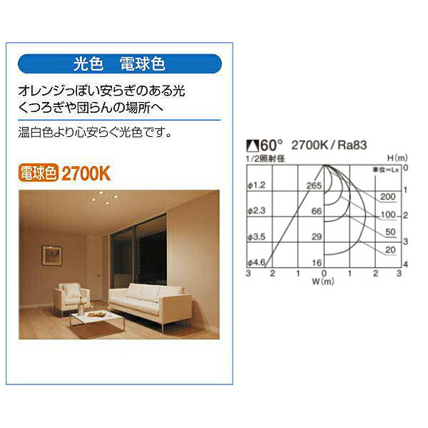 新作モデル 80W 大光電機 防雨形 ダウンライト 非調光 電球色 φ100 DDL-5103YW ライト・照明器具