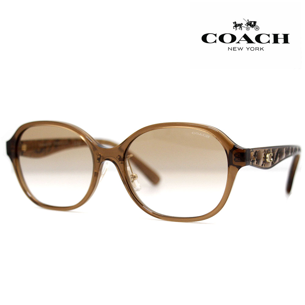 COACH コーチ HC8445D 565413 56 サングラス CBY85 アイウェア ブラウン グラディエント グラデーションレンズ レディース 女性用 ローブリッジフィット 正規品 新品 【送料無料】