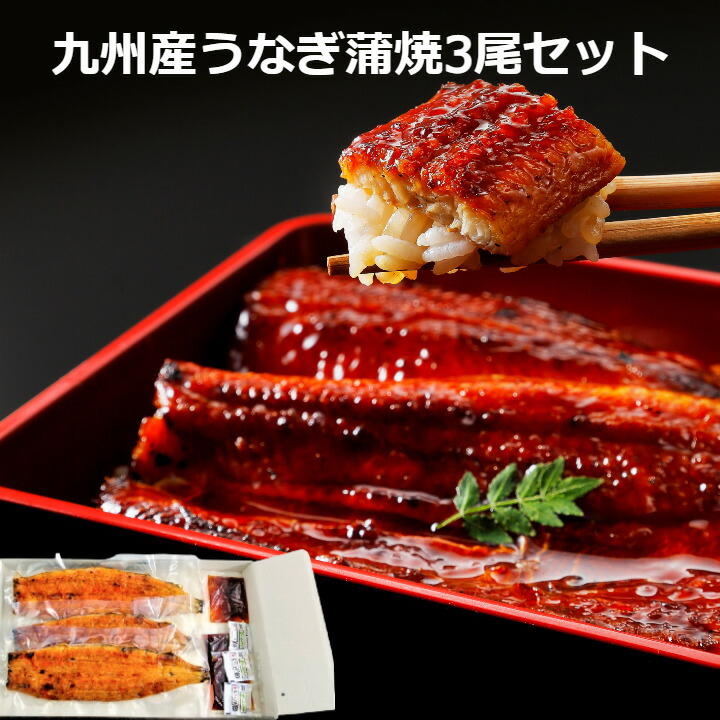 楽天市場】≪お中元≫九州産 うなぎ蒲焼 2尾セット 専用タレ