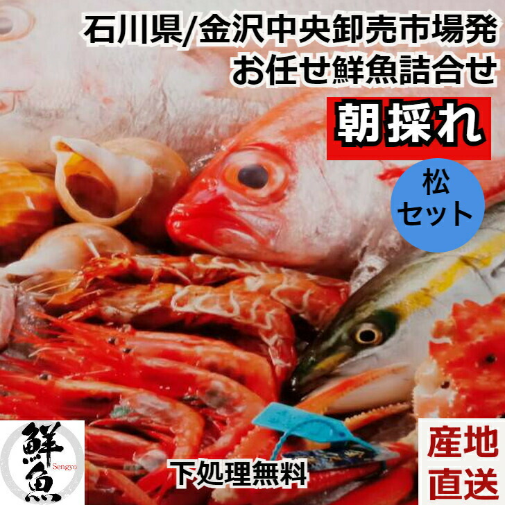 楽天市場】＼お中元／鮮魚ボックス 【朝採れ 鮮魚 新鮮地魚 詰合せセット 梅セット 金沢中央卸売市場発】鮮魚BOX 新鮮 下処理加工付 送料無料  クール便 お取り寄せ 産地直送 内祝い : グルメダイニング友楽堂