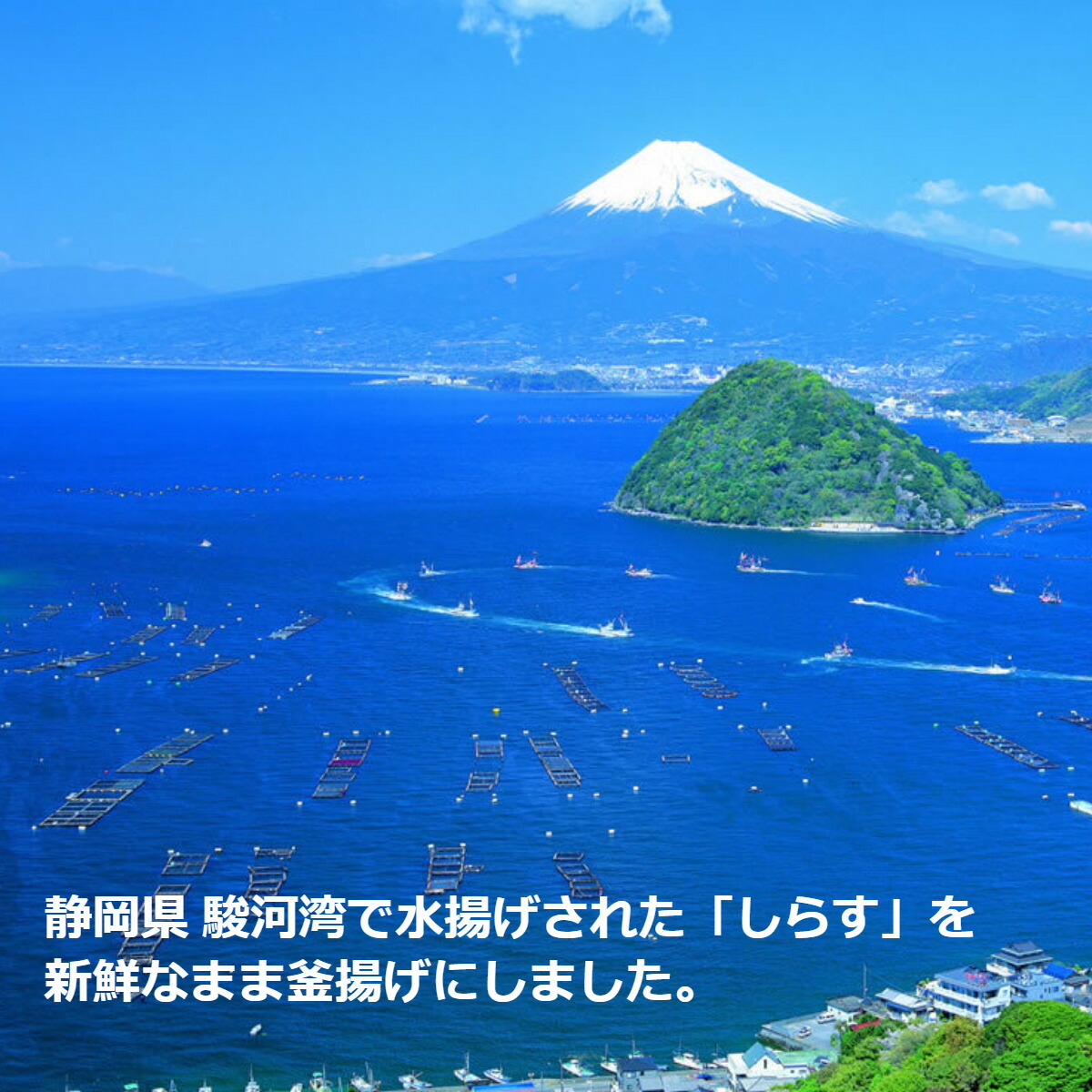 市場 釜揚げしらす 130g×4パック 産地直送 しらす 駿河湾 静岡県 駿河湾産 シラス