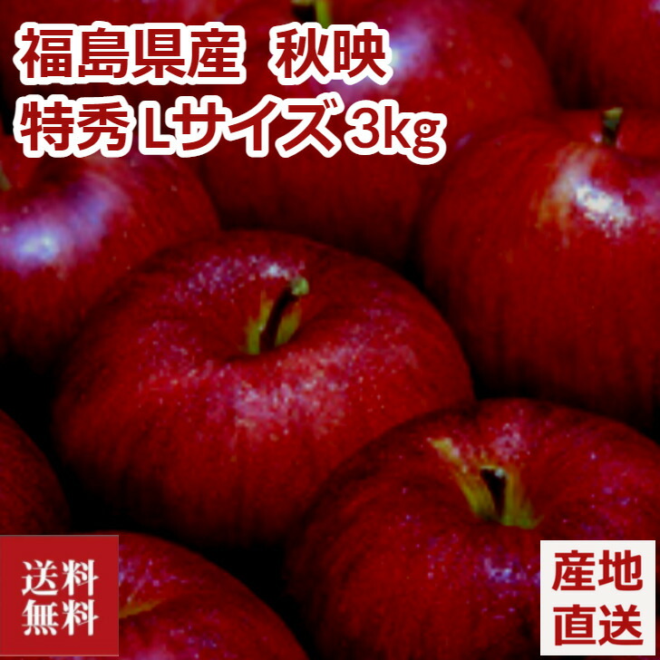 林檎 3kg 秋季写真絵 福島県作る 福島県知事認知 特御前上等 Lサイズ 9 12珠 りんご リンゴ アップル フルーツ Asiagap証明勝ちえる 故郷直送 貨物輸送無料 Lagranjaburgos Com