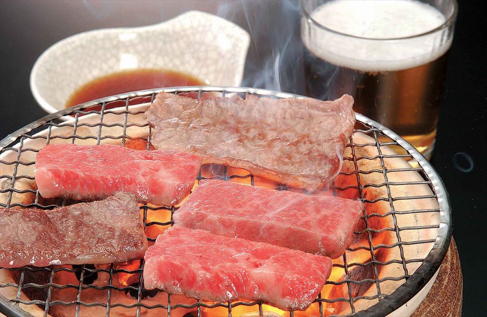 宮崎牛焼肉 ロース500g 精肉 宮崎県 冷凍180日 熨斗対応 送料無料 ギフト 贈答 記念日 産地直送 プレゼント