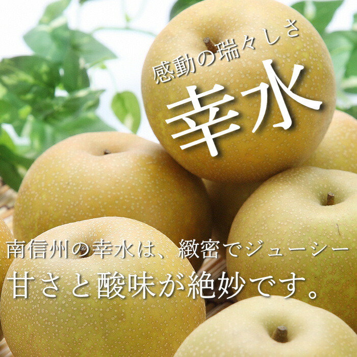 約2 5kg 8玉 R211 8月下旬 発送予定 おいしい お取り寄せ お見舞い くだもの なし ギフト ナシ フルーツ プレゼント 幸水なし 幸水梨 旬のフルーツ 旬の果物 果物 秀品 美味しい 贈り物 退院祝い 高級 最大64 Offクーポン R211 約2 5kg 8玉 R211 8月下旬 発送予定 おいしい お取り寄せ お見舞い くだもの なし ギフト ナシ フルーツ プレゼント 幸水なし 幸水梨 旬のフルーツ 旬の果物 果物 秀品 美味しい 贈り物 退院祝い 高級 最大64 Offクーポン R211