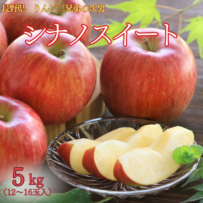 りんご りんご サンふじ 葉取らず 約5kg(16から18玉) 青森産 つがる市