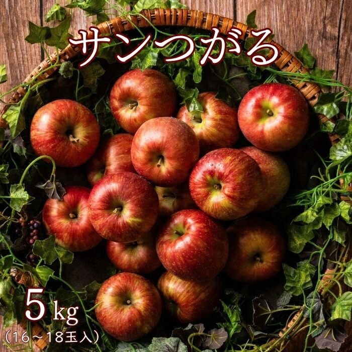 りんご【10月中】 楽天市場】りんご サンつがる 約2.5kg(6〜7玉)R342 8月下旬