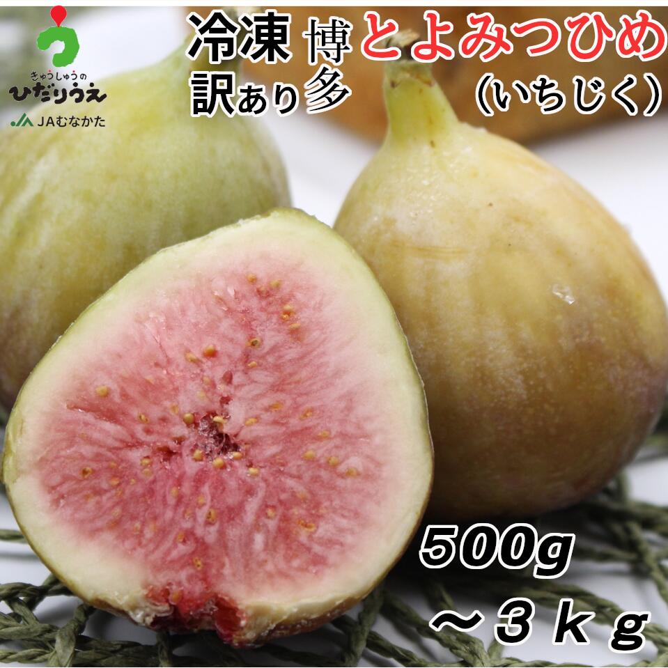 楽天市場】【送料無料】真空冷凍いちじくセット（計2kg）福岡県産とよ