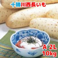 長いも（十勝川西長いも）北海道産長芋 AL～A3Lサイズ　10kg(9～15本入)令和6年産