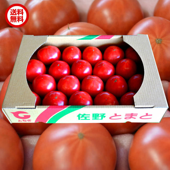 楽天市場 クール送料無料 栃木県佐野市産トマト 1箱4キロ入り ｊａ佐野出荷規格クリア品 家族友達とシェアできる容量 産地直送新鮮野菜 詰合せ セット ランキングトマト部門上位獲得済 お買い得 プレゼント ギフト ｊａ佐野 楽天市場店