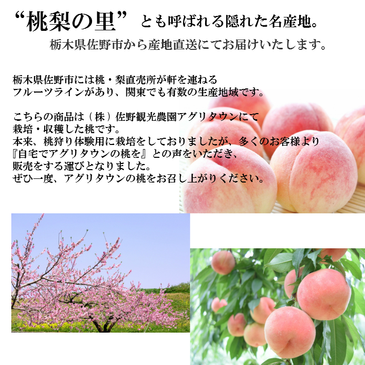 楽天市場 送料無料 味覚狩り観光農園の桃 栃木県佐野市産 約１ｋｇ ５ ６玉 熨斗対応 ｊａ佐野 楽天市場店