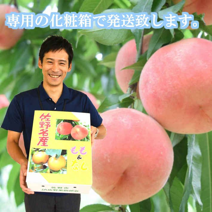 楽天市場 送料無料 栃木県佐野市産 桃 約２ｋｇ ５ ９玉 佐野観光農園産 ギフト対応可 ｊａ佐野 楽天市場店