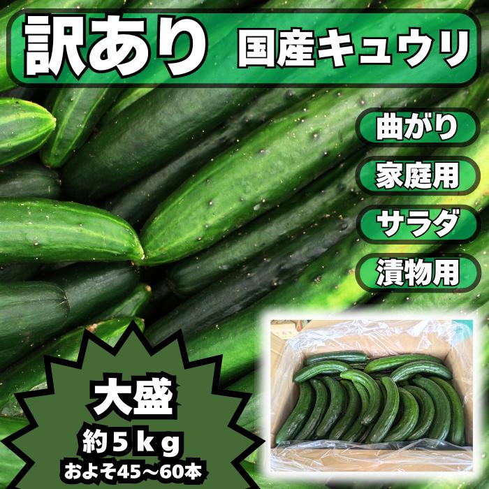 楽天市場】キュウリ 超 訳アリ 太さ大小 曲がり バラバラ お得