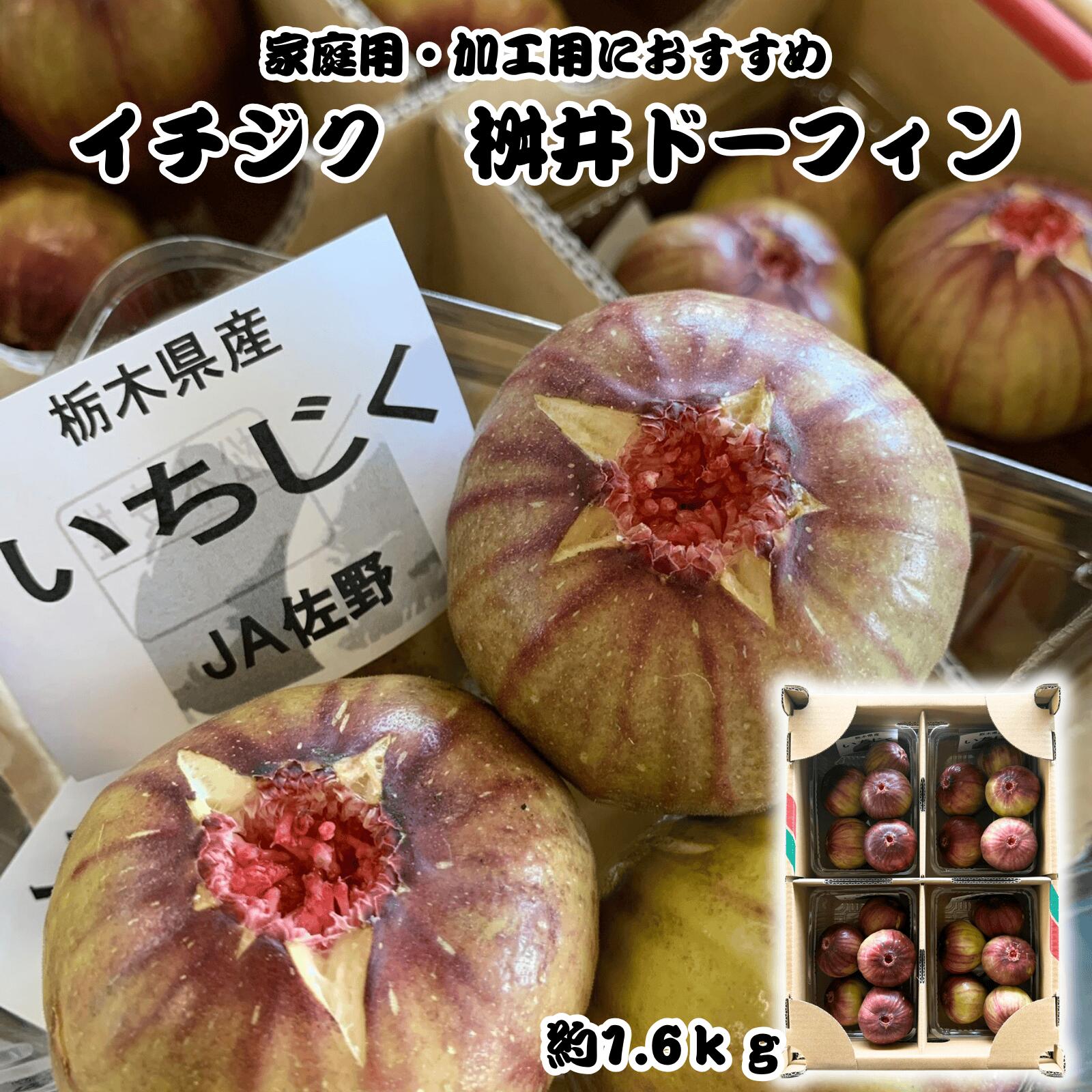いちじく いちじくの栽培品種｜さんぽ園｜埼玉県 新座市 社会福祉法人