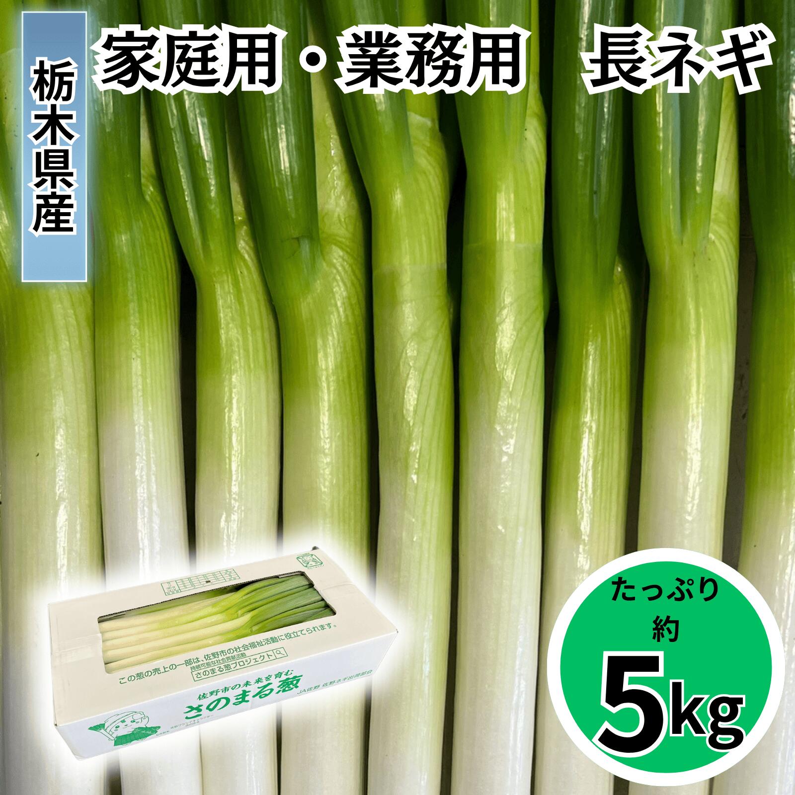 楽天市場】【ｸｰﾎﾟﾝ300円オフ】訳あり 長ねぎ 白ねぎ 約5kg 国産 さの