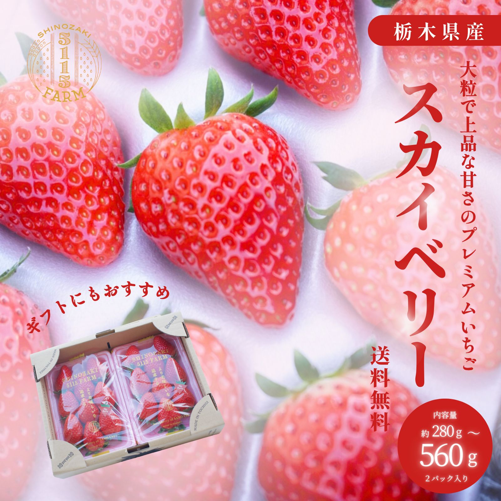【大特価｜定価60％OFF｜送料込】★現品のみ★栃木県佐野市②③ 全2冊 楽天市場】栃木県産 スカイベリー 約280g×2パック 合計約560g イチゴ