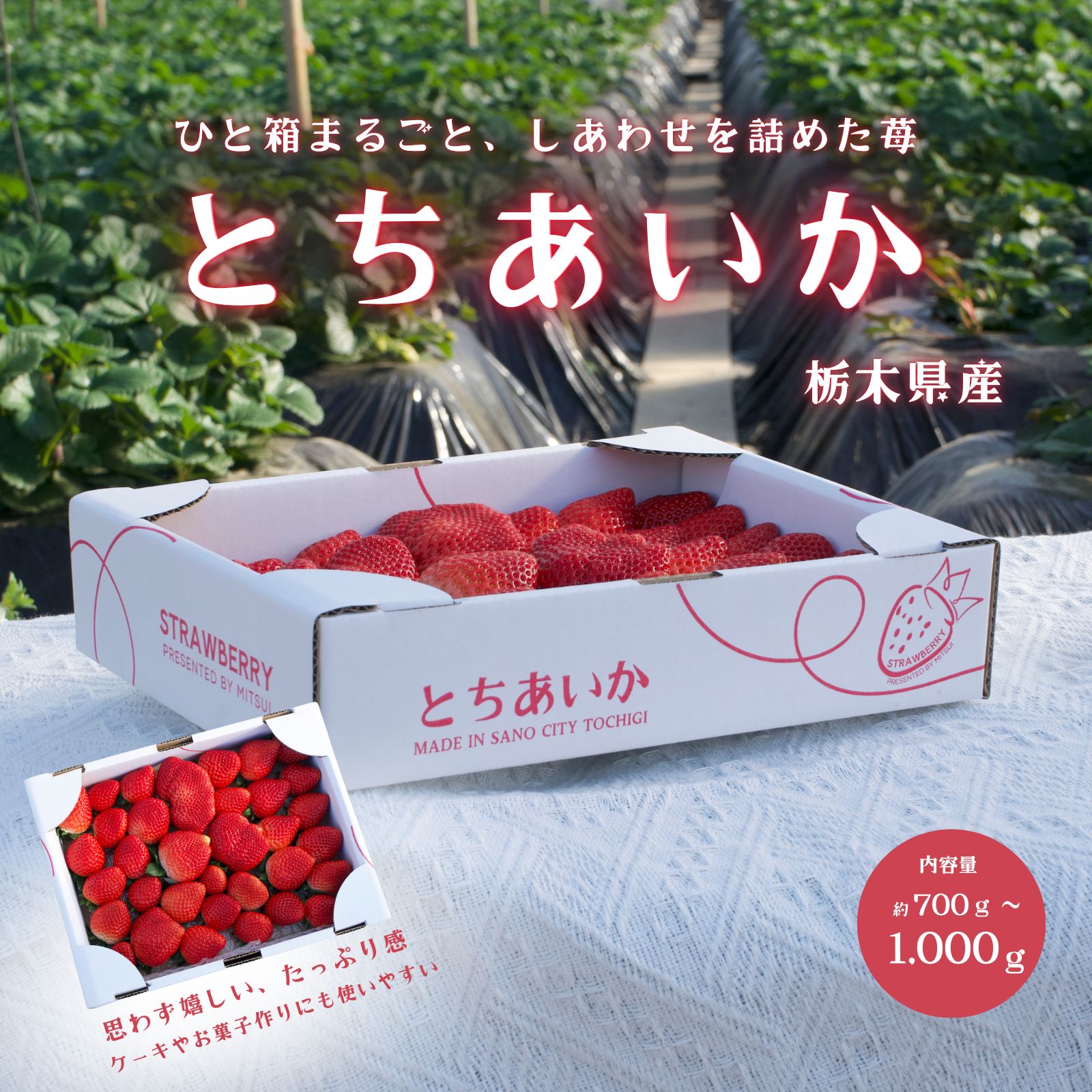 楽天市場】栃木県産 とちあいか たっぷり約900g 苺 いちご イチゴ 家庭