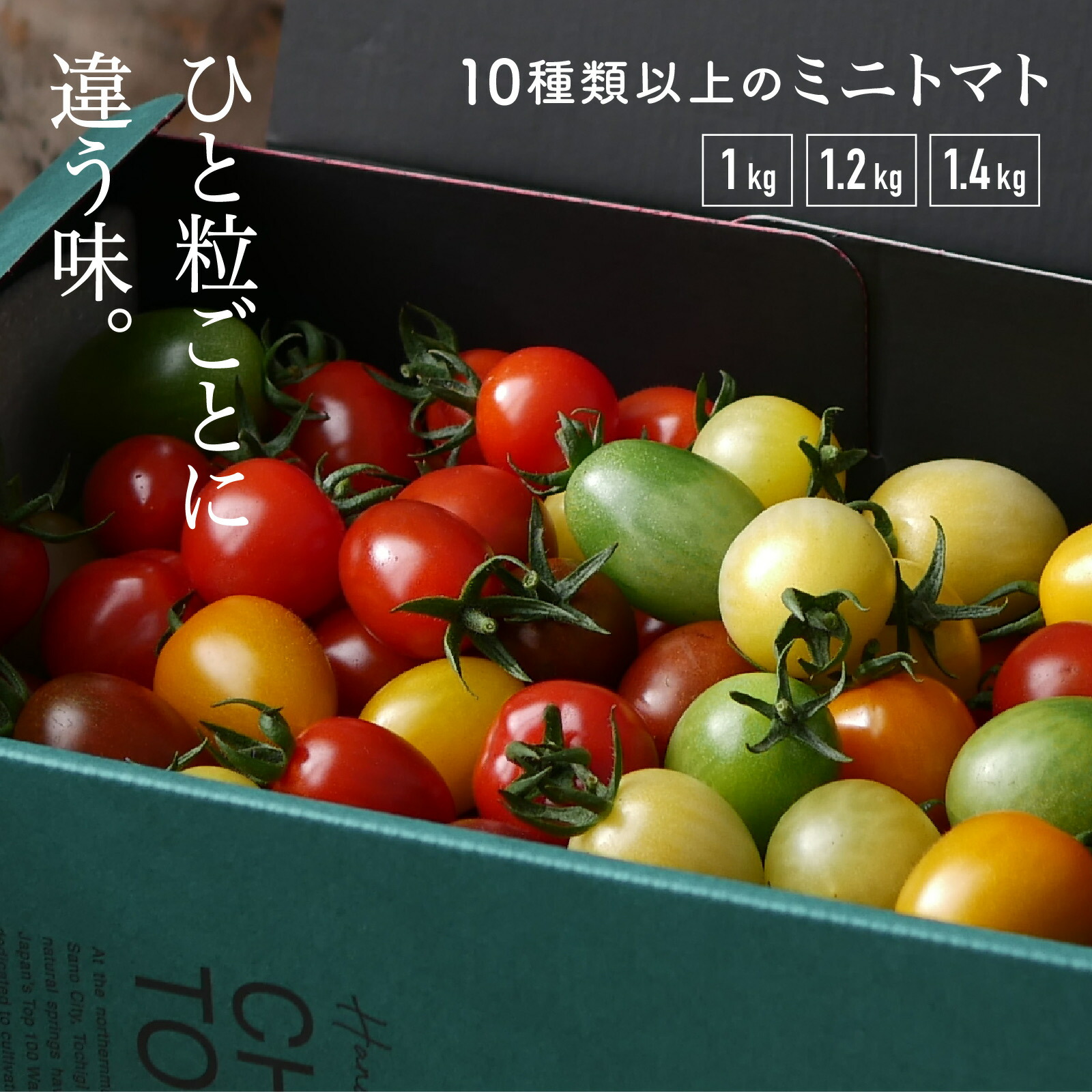 楽天市場】【ミニトマト アイコ（赤）1ケース(約1kg)】 【愛知県産