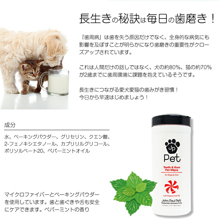 0円 新しいブランド 金長 左官ブラシ 本馬毛 柄付 1 2チョウ エツキ ※ポイント最大20倍対象 0円 新しいブランド 金長 左官ブラシ 本馬毛 柄付 1 2チョウ エツキ ※ポイント最大20倍対象