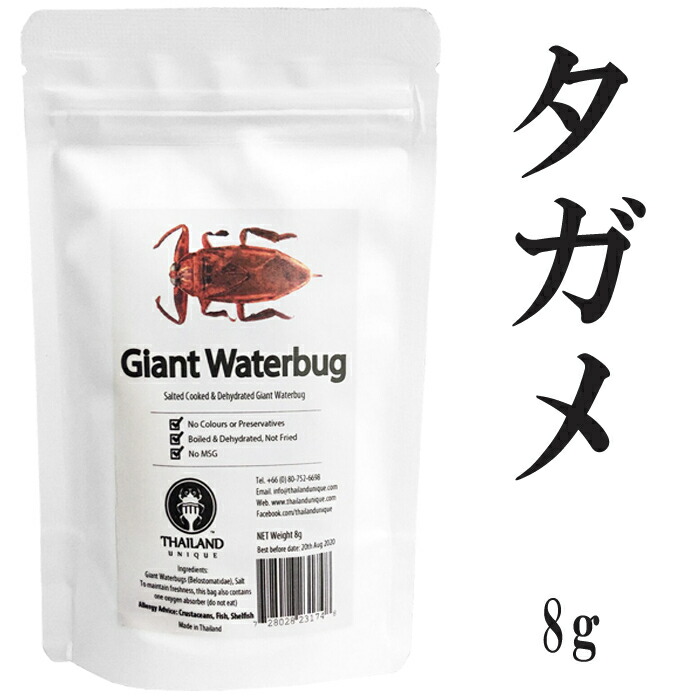 虫食み タガメ 8g 塩梅 読み物傾注 クォンティティープロティンで低糖類品性 たがめ 昆虫 食用 宝典 Giant Waterbugs 遊宴グッズ 罰 戦い 遊宴 Hotjobsafrica Org 虫食み タガメ 8g 塩梅 読み物傾注 クォンティティープロティンで低糖類品性 たがめ 昆虫 食用 宝典 Giant Waterbugs 遊宴グッズ 罰 戦い 遊宴 Hotjobsafrica Org