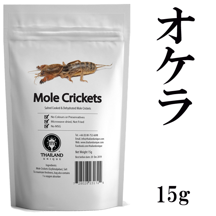 昆虫食 フタホシコオロギ Big Crickets 15g TIU0003 食用昆虫 ユニークフード 罰ゲーム パーティー 高タンパク質 アスリート食  栄養食 【SALE／87%OFF】