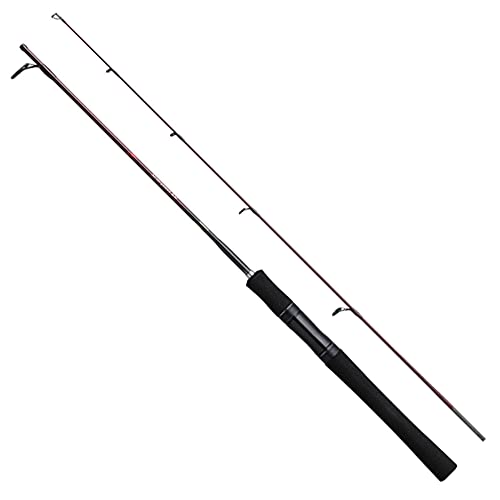 シマノ(SHIMANO) バスロッド 21 スコーピオン XV 2401FF-2 バス釣り