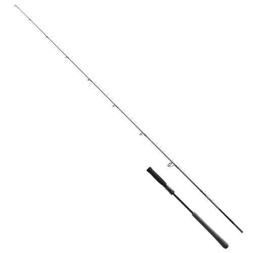 シマノ(SHIMANO) オフショアロッド 25ソルティーアドバンス オフショアモデル ライトジギング S63ML