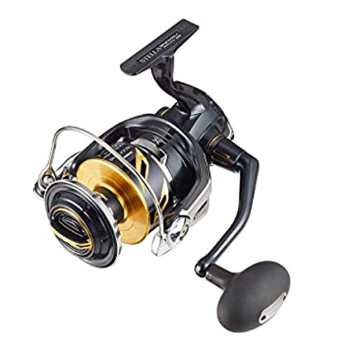 シマノ(SHIMANO) スピニングリール 19 中心柱 SW 14000XG 鋳込み力くらべ ヒラマサ 鮪