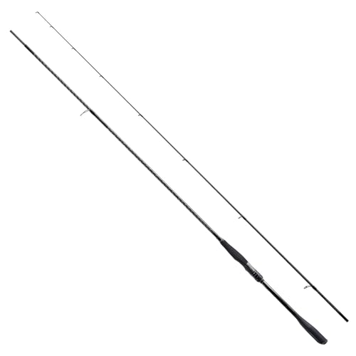 シマノ(SHIMANO) シーバスロッド 25エクスセンス ジェノス S93ML・MH/F
