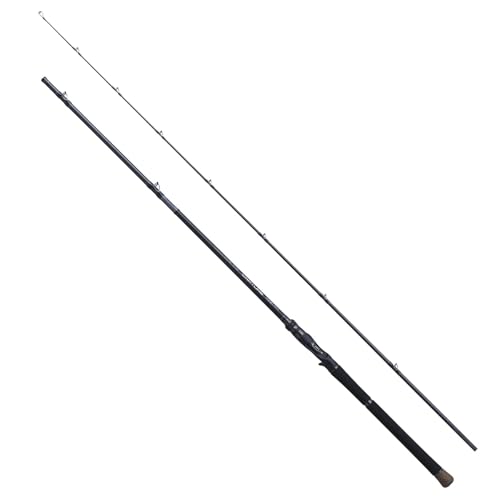 シマノ(SHIMANO) 無償性表現スタイル極点 25キャプチャー 1711H-SB/2