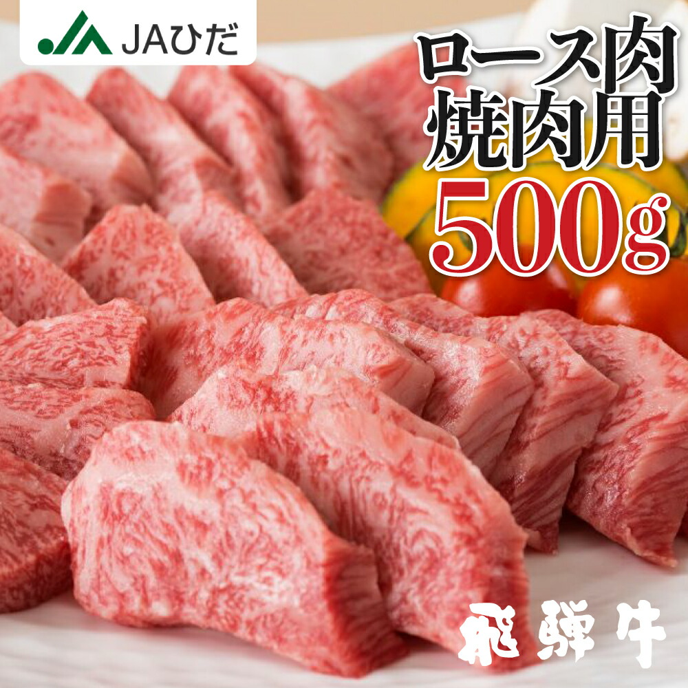 最安 Jaひだ 飛騨牛 焼き肉 ロース 500g ロース リブロース サーロイン 焼肉 霜降り 高級 肉 牛肉 霜降り肉 Ja飛騨 ギフト 和牛 冷凍 北海道 沖縄 一部離島別途送料1000円 肌触りがいい Sicemingenieros Com