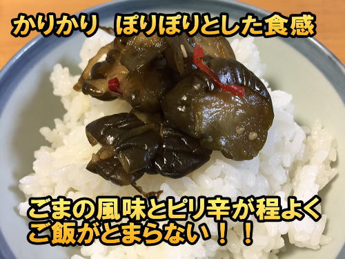 楽天市場 国産 漬物 きゅうりの醤油漬け 100g 4袋 送料無料 無添加 ピリ辛きゅうり 漬け物 常備菜 宮崎県産 キュウリ 梅酢ごぼう 2種類から選べる ご飯のお供 ポイント消化 食品 メール便 九州通販 取り寄せのじゃじゃ美味