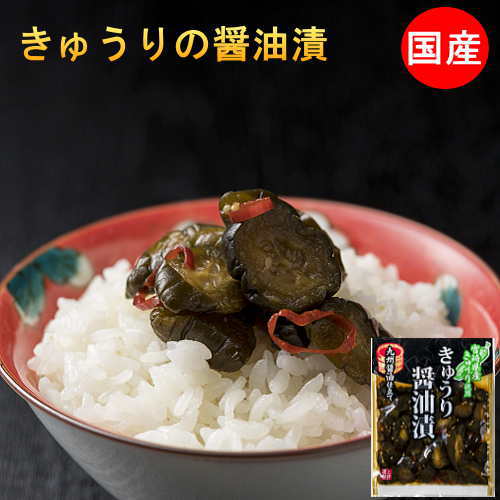 国産　きゅうりの醤油漬け　100g×4袋　送料無料　食品　無添加　メール　ギフト　漬物　ピリ辛きゅうり　宮崎県産　ポイント消化　漬け物　常備菜　便　キュウリ　お中元　ご飯のお供　メール便　プチギフト　贈り物