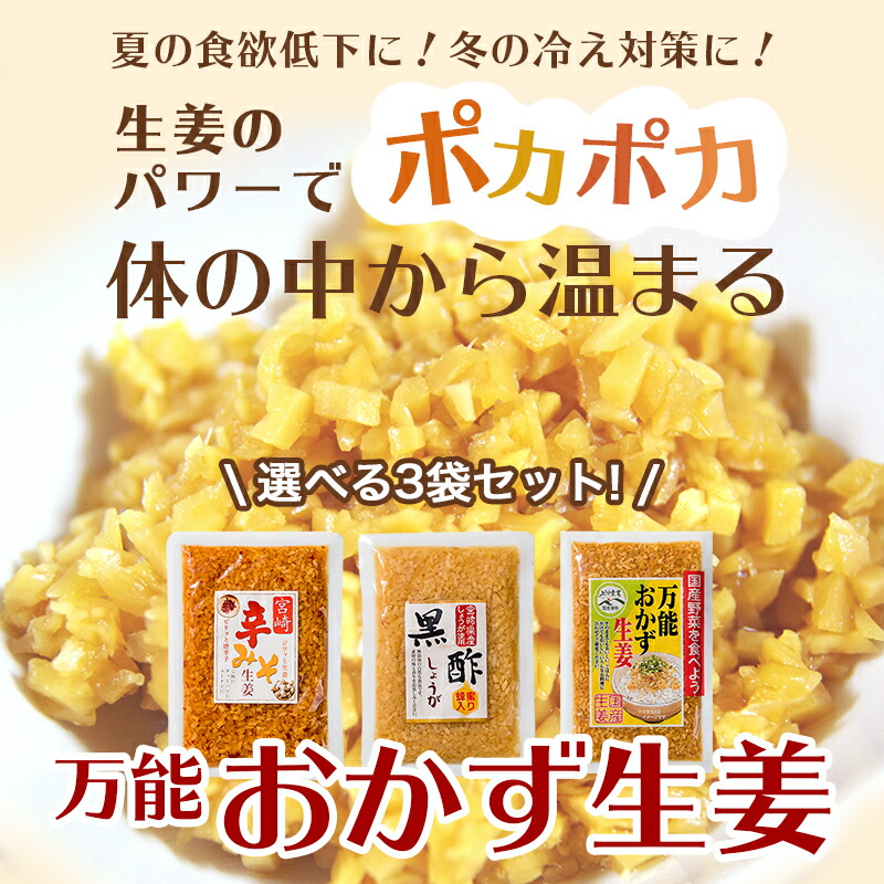 【送料無料】しょうが醤油漬け国産万能おかず生姜3袋セット刻みしょうがごはんのおともふりかけポイント消化ご飯のお供