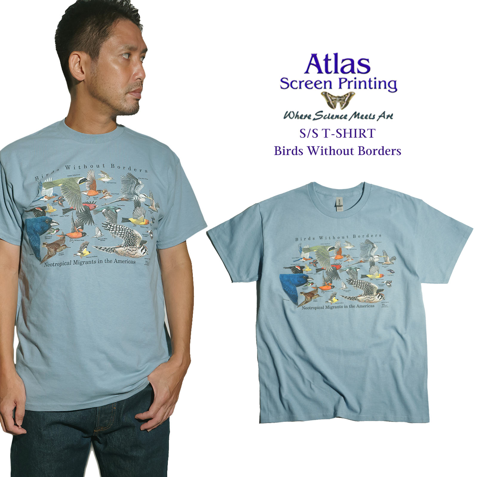 Roots Men's☆ Backcountry・オーガニックコットン半袖Ｔシャツ 楽天市場】【15％OFFクーポン アウトレットセール】 tシャツ