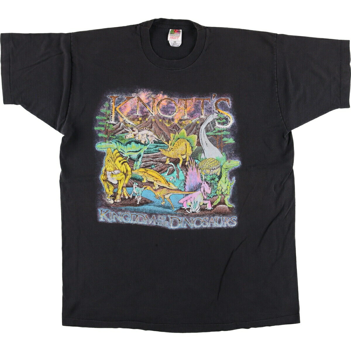 古着 90'S フルーツオブザルーム FRUIT OF THE LOOM アニマルTシャツ USA製 メンズXXL相当 ヴィンテージ /eaa564590 【中古】 【250719】 7,603円