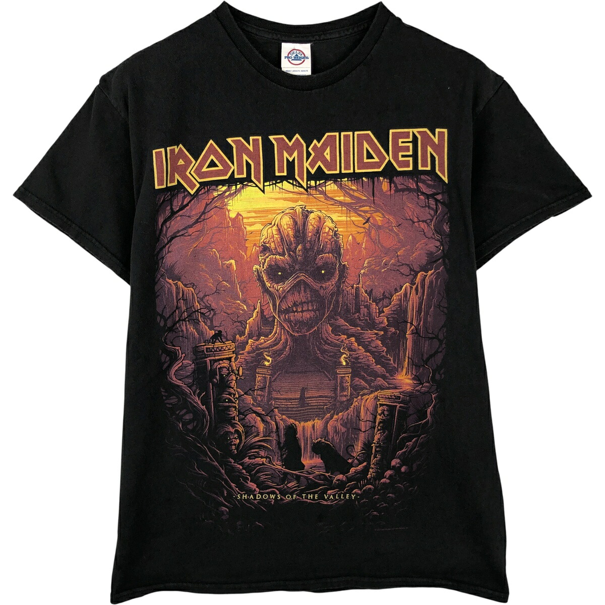 古着 DELTA PRO WEIGHT IRON MAIDEN アイアンメイデン バンドTシャツ バンT メンズM相当 /eaa615556 【中古】 【260223】 【SS2606_10｜古着屋JAM