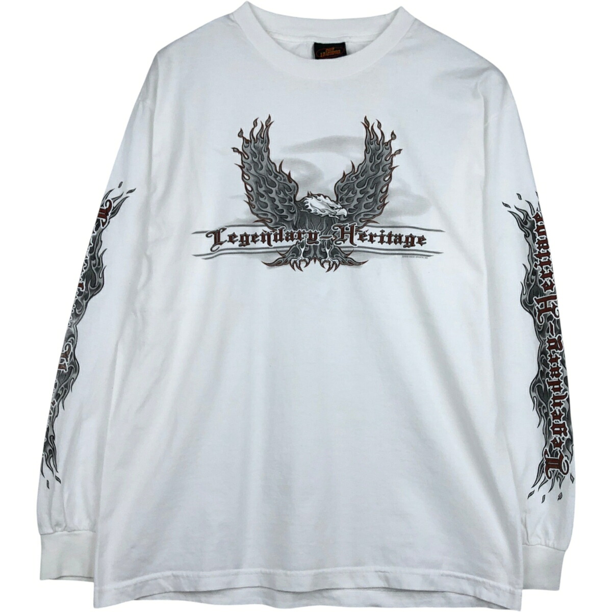 古着 00'S HOT LEATHERS ファイヤーパターン 鷲柄 イーグル柄 ロングTシャツ ロンT メンズL相当 /eaa627198 【中古】 【260327】 ホワイト系 春夏秋