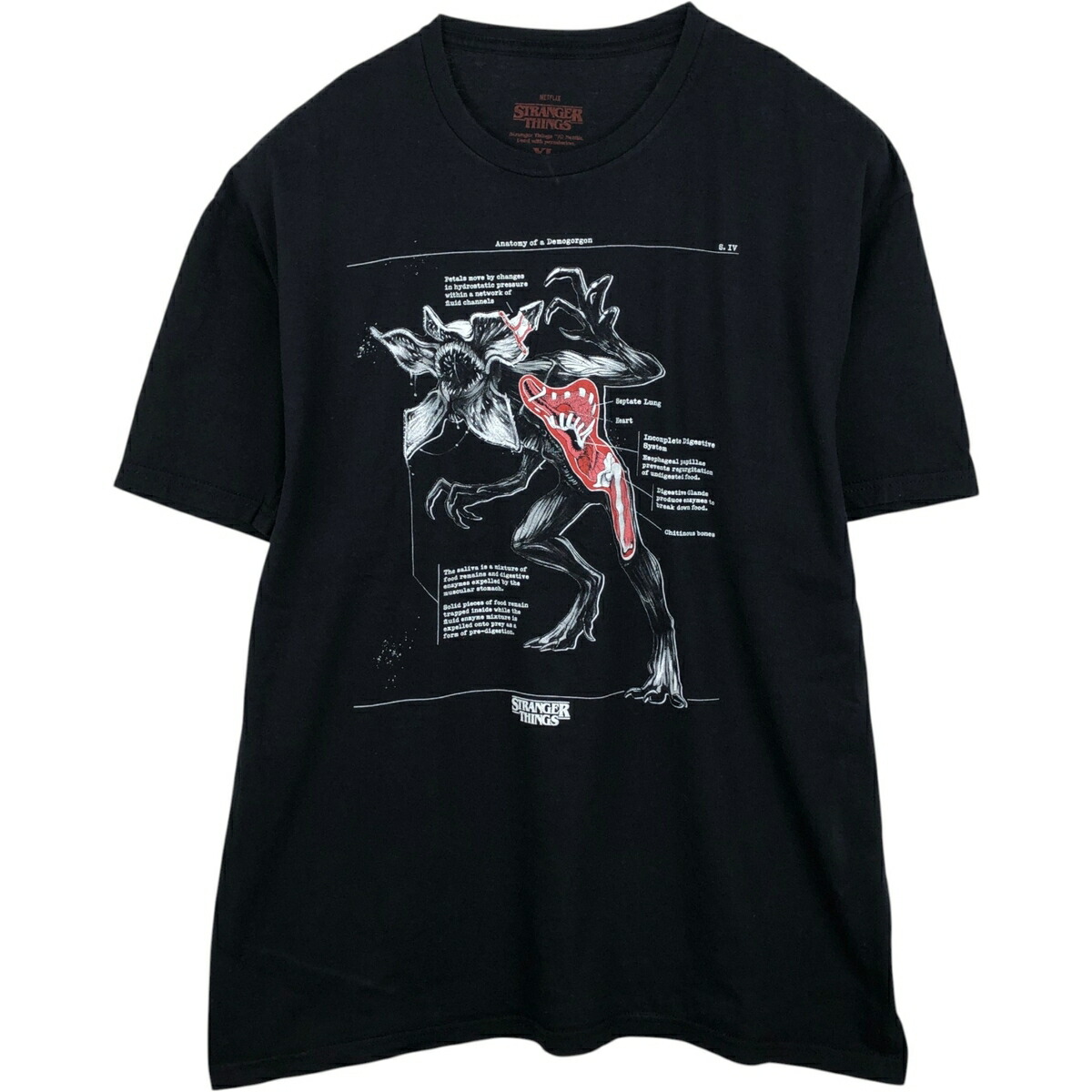 古着 STRANGER THINGS ストレンジャーシングス 映画 ムービーTシャツ メンズXL相当 /eaa631729 【中古】 【260410】 4,743円