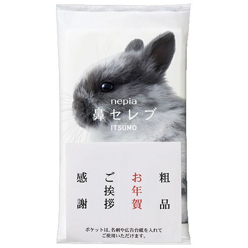 ネピア鼻セレブ　ＩＴＳＵＭＯ　ＰＬＵＳ　４８組／個　１セット（１００個：１０個&times;１０パック）｜イージャパンアンドカンパニーズ 15,882円