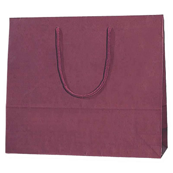 カラーチャームバッグ　３才　エンジ　10束（100枚）【イージャパンモール】｜イージャパンアンドカンパニーズ 12,165円
