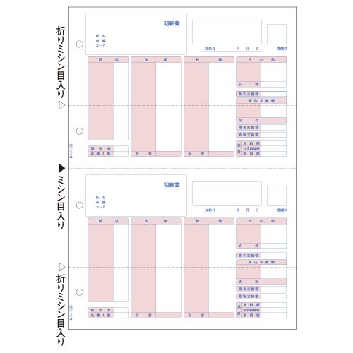 【送料無料】【個人宅届け不可】【法人（会社・企業）様限定】給与明細書　A4タテ　2面　1箱(500枚)｜イージャパンアンドカンパニーズ