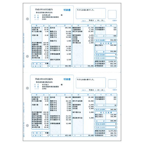 【貨物輸送無料】【人間宅届け不可】【法人（会社組織・会社組織）様押さえる】報酬細々たる書 ページプリンタ質問用紙 単票質問用紙 A4タテ 1箱(500枚)
