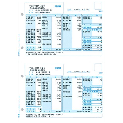 【貨物輸送無料】【人間宅届け不可】【法人（会社組織・会社組織）様押さえる】報酬細々たる書 単票 A4タテ 1箱(500枚)