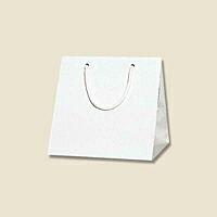 ブライトバッグ　Ｃ２　白　５束（５０枚）【イージャパンモール】｜イージャパンアンドカンパニーズ 13,907円