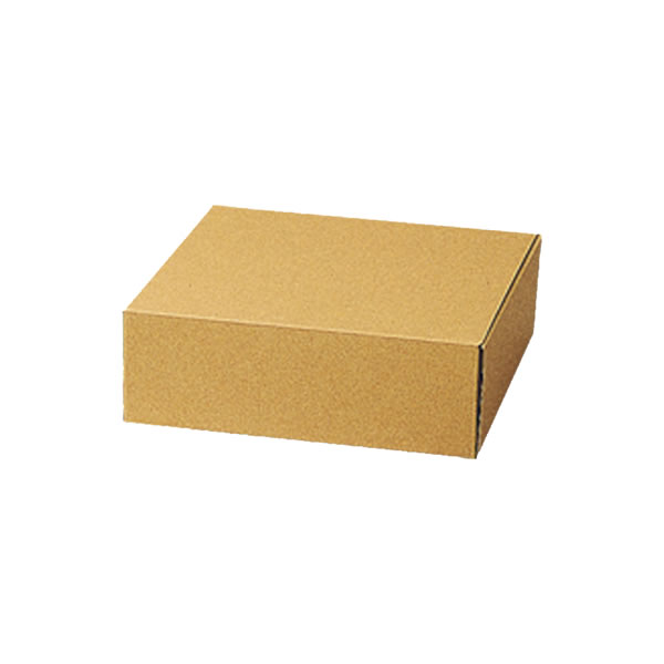 ナチュラルＢＯＸ　Ｚ－１９　５束（５０枚）【イージャパンモール】 8,128円