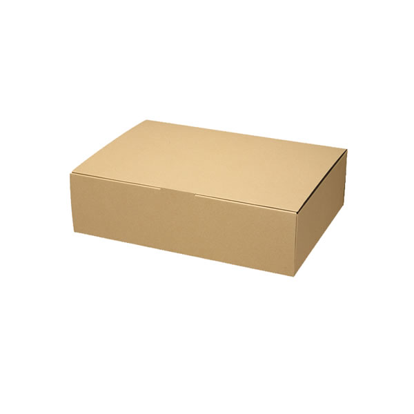 ナチュラルＢＯＸ　ＥＣＯ・Ｚ&minus;９　５束（５０枚）【イージャパンモール】｜イージャパンアンドカンパニーズ