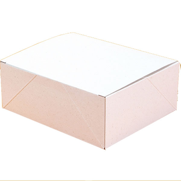 エコパームＢＯＸ　プレーンＬ　１０束（２００枚）【イージャパンモール】